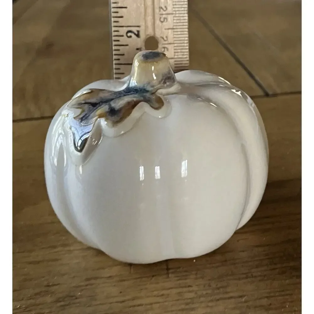 Pier 1 Imports Pumpkin Salt & Pepper Shakers Fall Thanksgiving Off White